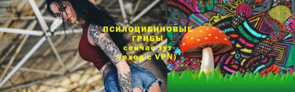 дмт Нязепетровск