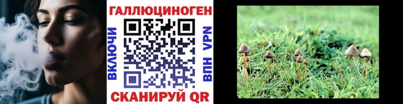 наркошоп  Урень  Галлюциногенные грибы ЛСД 